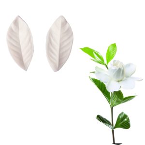 M449 2pcs Gardenia Leaves Silicone Cake Molds Chocolate Gumpaste Moulds, Sugarcraft, Kitchen Accessories | Byjunyeor®