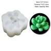 M2745-1 Succulent Plants Silicone Molds